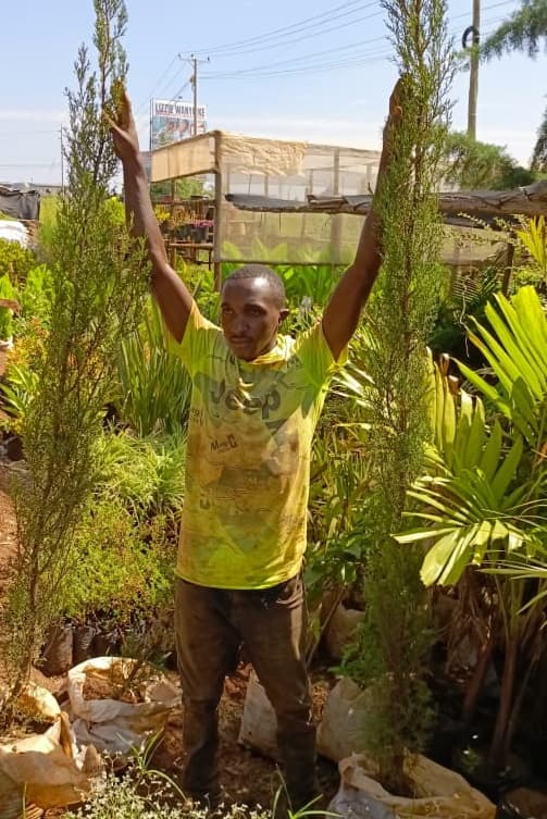 PeterNjenga