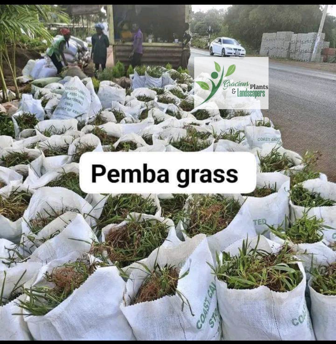 Planting & Ongoing Garden Maintenance - Image 1