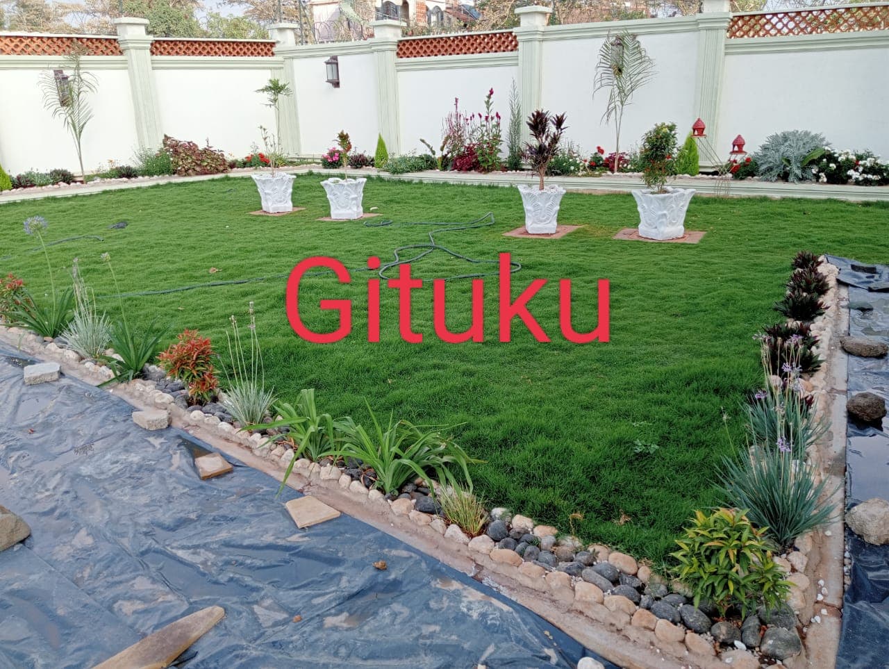 Planting & Ongoing Garden Maintenance - Image 10