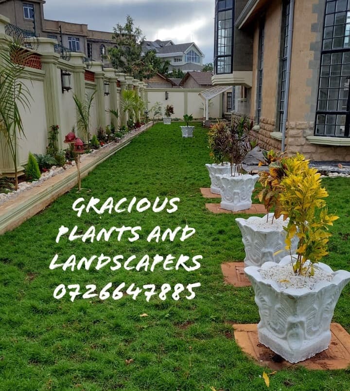 Planting & Ongoing Garden Maintenance - Image 11