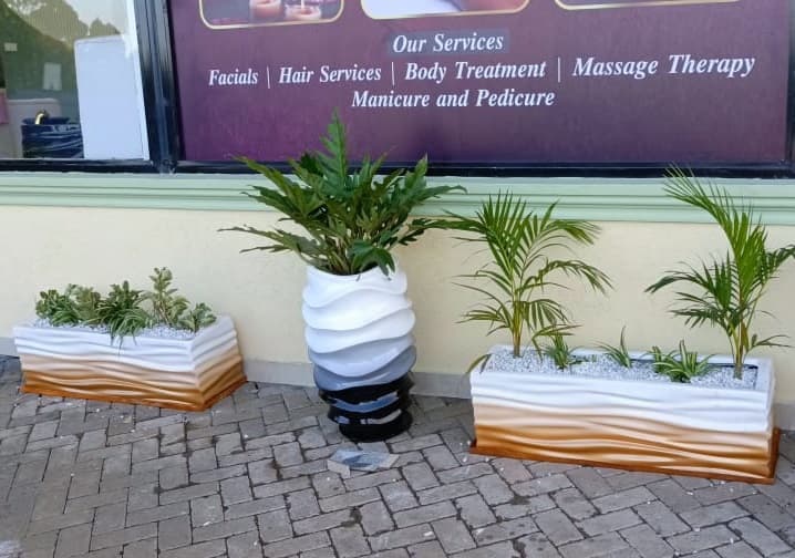 Ornamental Plants Installation