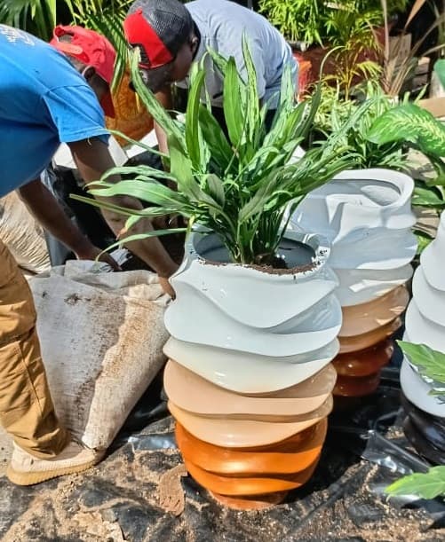 Ornamental Plants Installation - Image 10