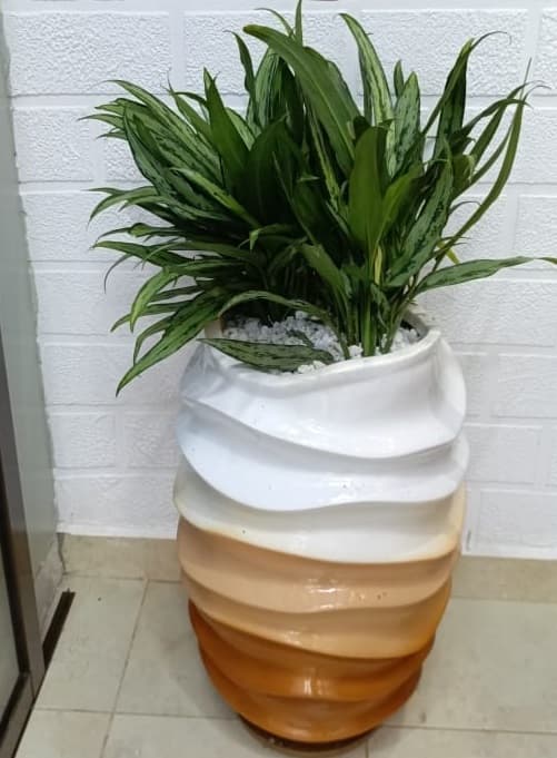 Ornamental Plants Installation - Image 11