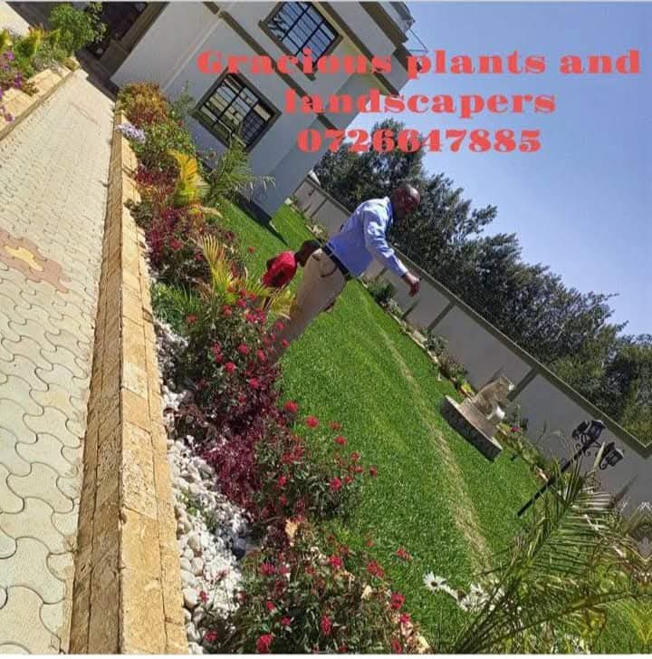 Planting & Ongoing Garden Maintenance - Image 15
