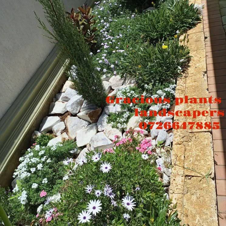 Planting & Ongoing Garden Maintenance - Image 17