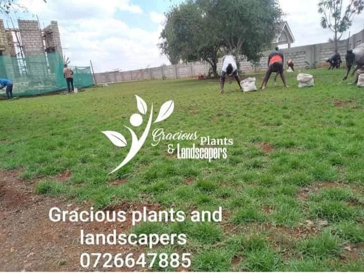 Planting & Ongoing Garden Maintenance - Image 22