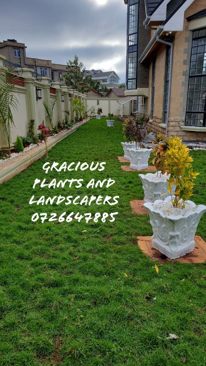 Planting & Ongoing Garden Maintenance - Image 24