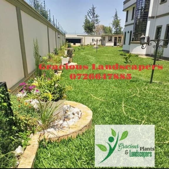Planting & Ongoing Garden Maintenance - Image 28