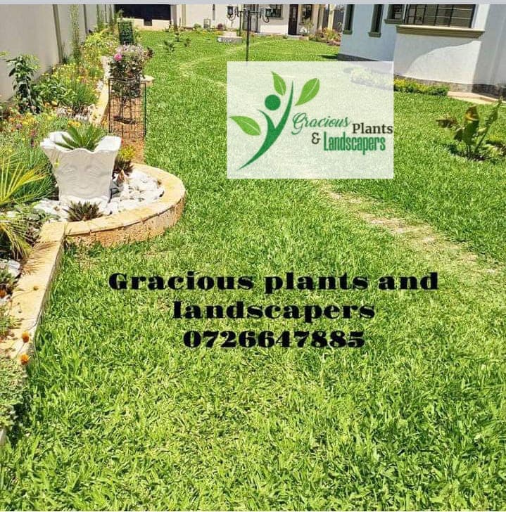 Planting & Ongoing Garden Maintenance - Image 31