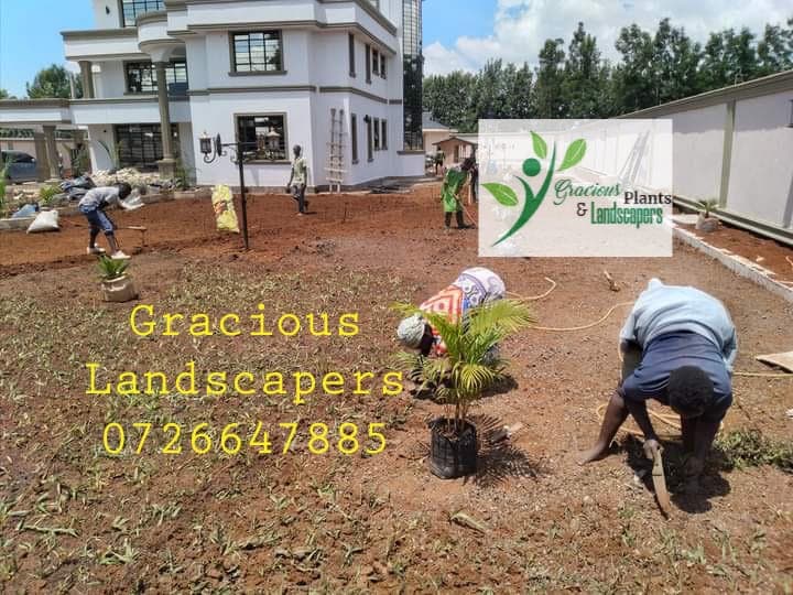 Planting & Ongoing Garden Maintenance - Image 32