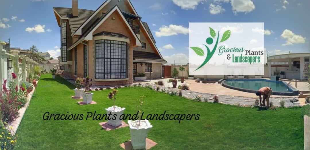 Planting & Ongoing Garden Maintenance - Image 38