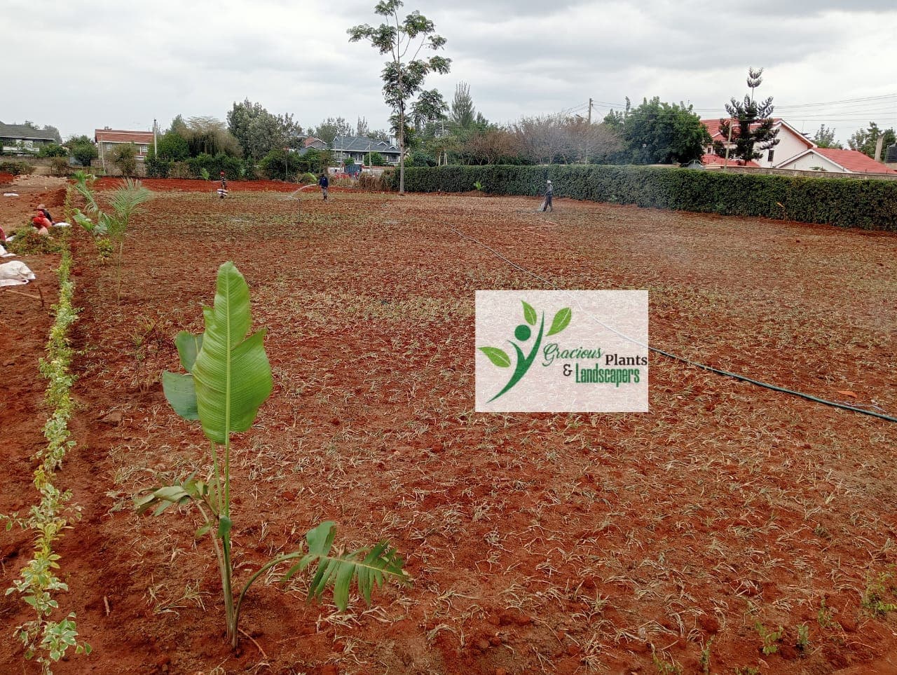 Planting & Ongoing Garden Maintenance - Image 39