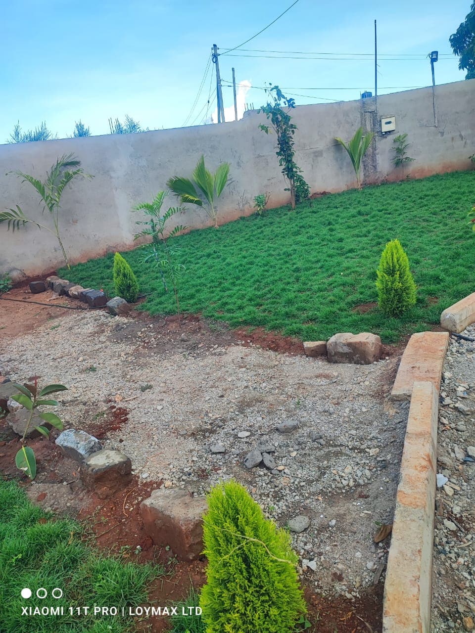 Planting & Ongoing Garden Maintenance - Image 43