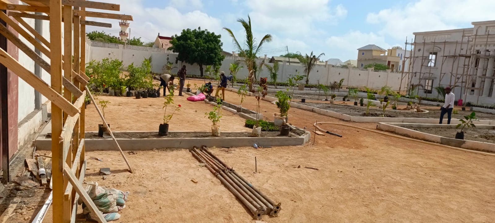 Planting & Ongoing Garden Maintenance - Image 46