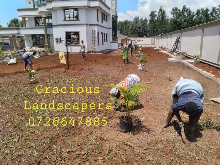 Planting & Ongoing Garden Maintenance - Image 7