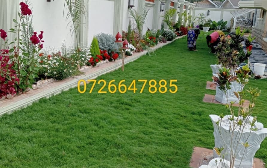 Planting & Ongoing Garden Maintenance - Image 9