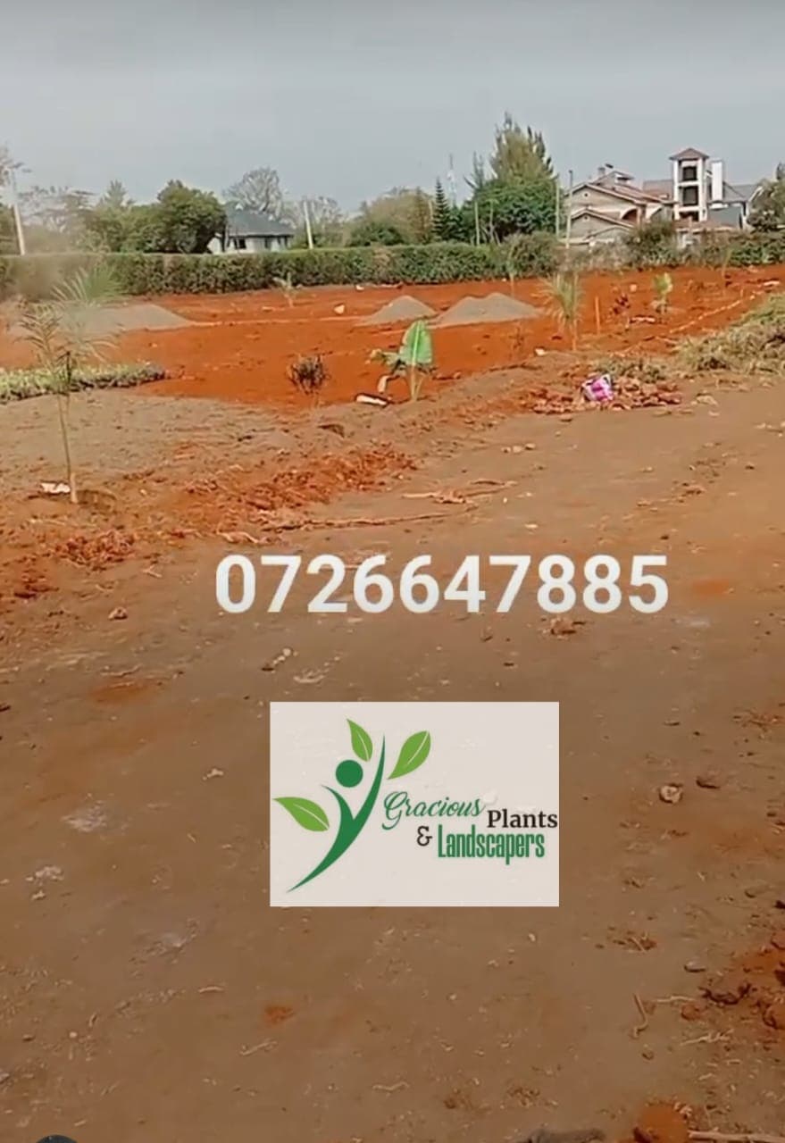 Site Preparation & Garden Leveling - Image 4
