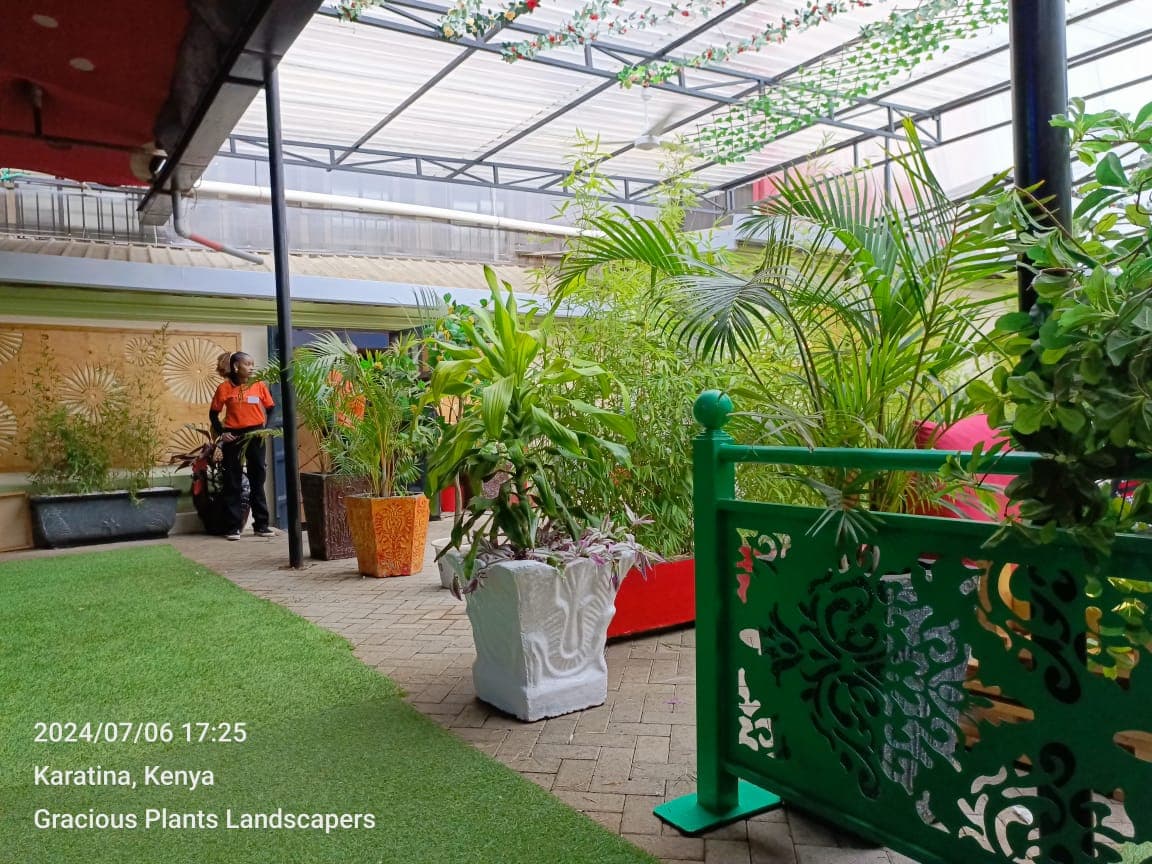 Ornamental Plants Installation - Image 4
