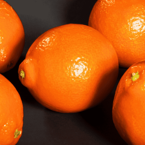 Grafted Miniola Oranges