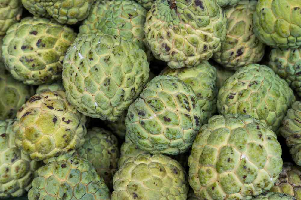 Custard Apples