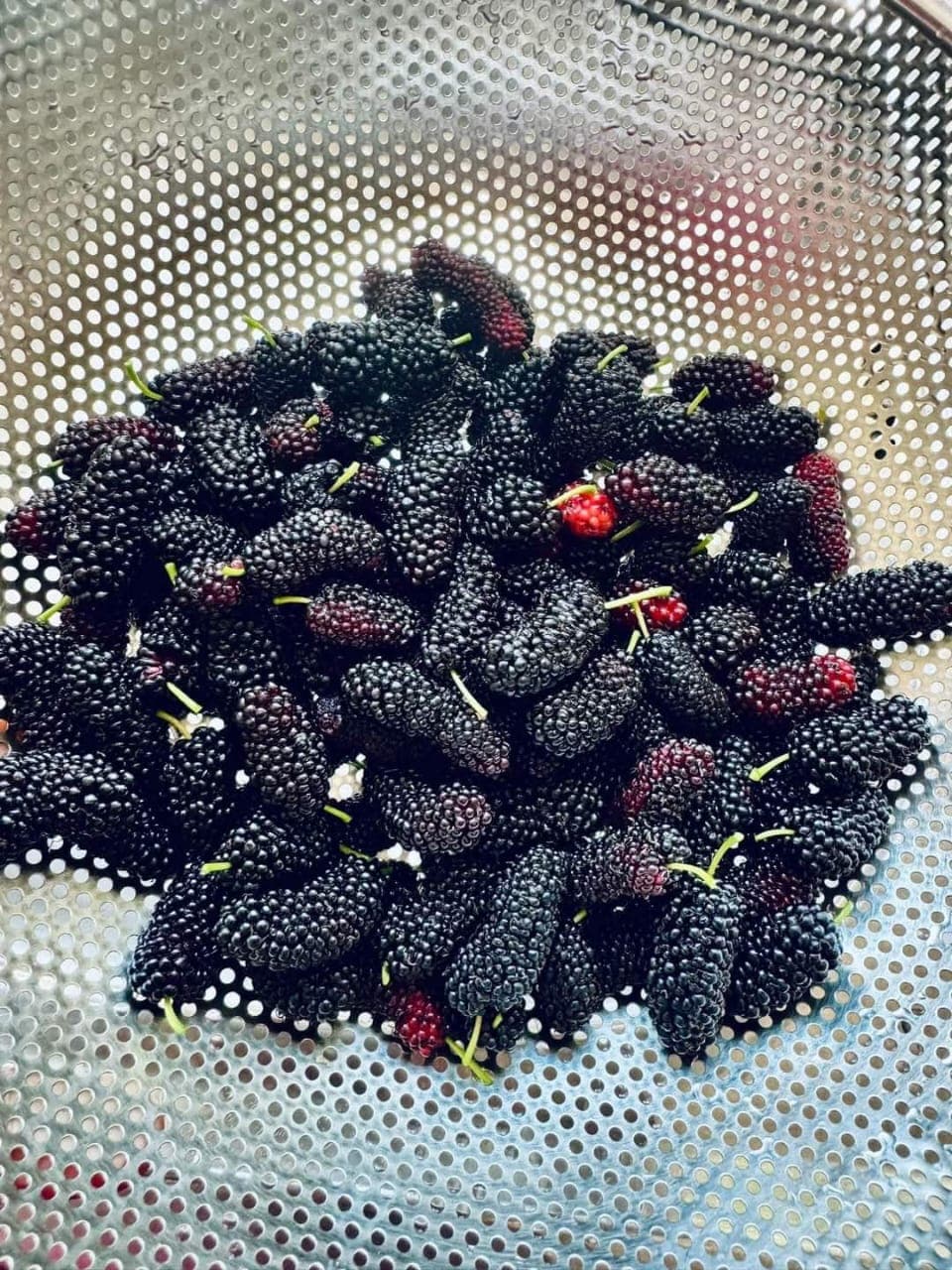 Mulberries