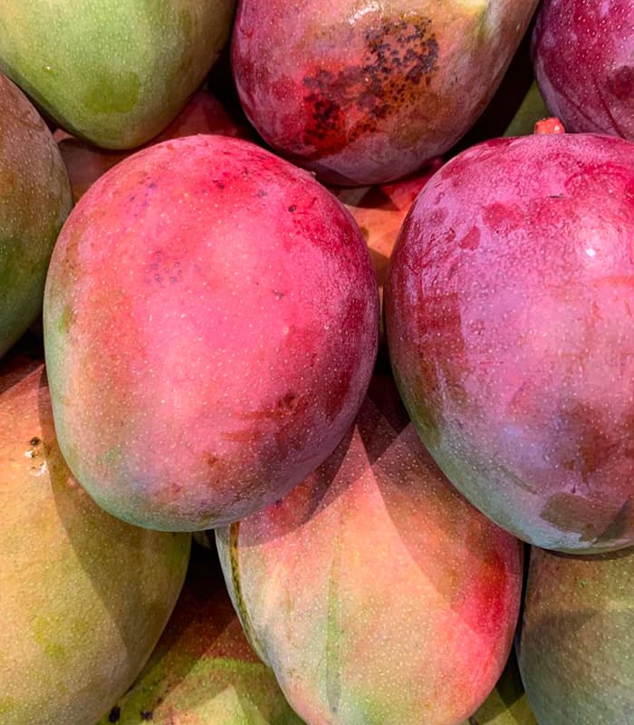 Grafted Tomy Mangoes